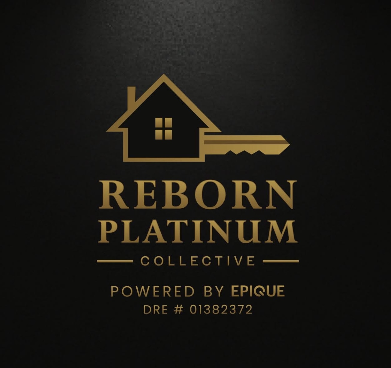 Debra Pughsley Realtor Reborn Platinum Collective Powered By Epique logo
