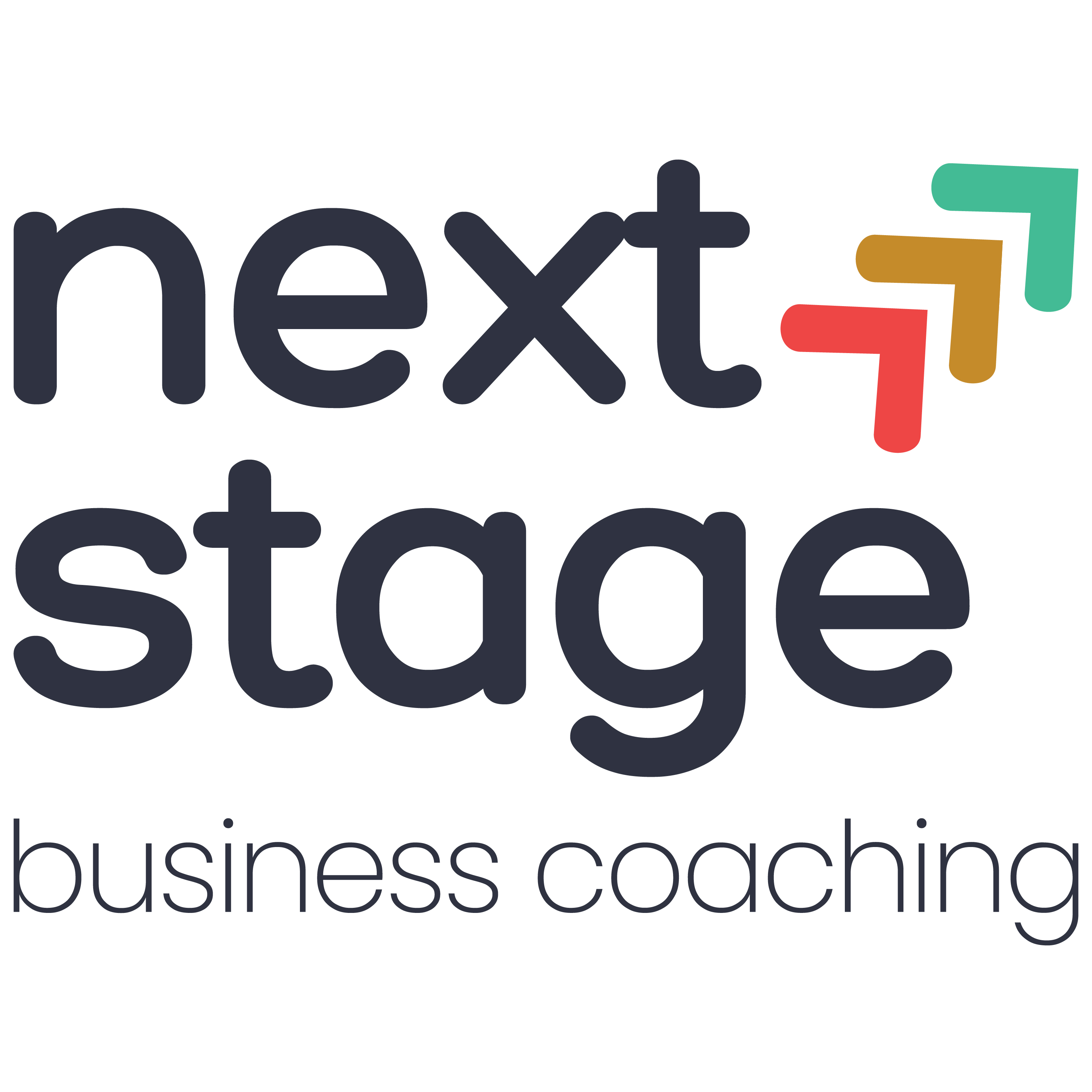 Next Stage Business Coaching logo